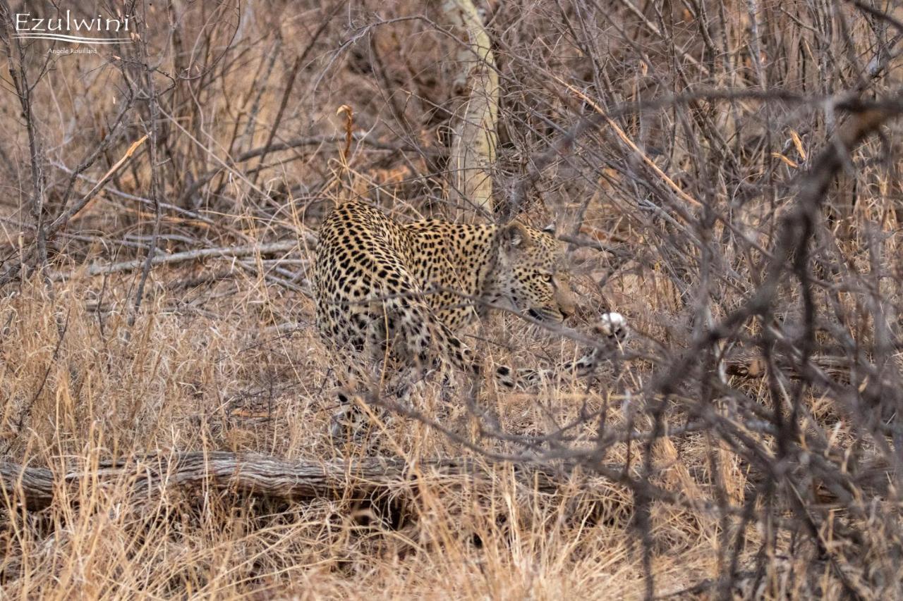 Ezulwini Game Lodges Mica Dış mekan fotoğraf